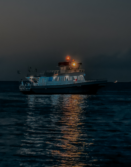 Captain Michael Party Boat Fishing Boat at Night