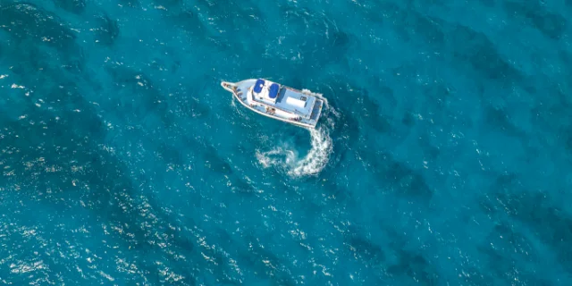 What Is the Best Bait for Party Boat Fishing in Islamorada