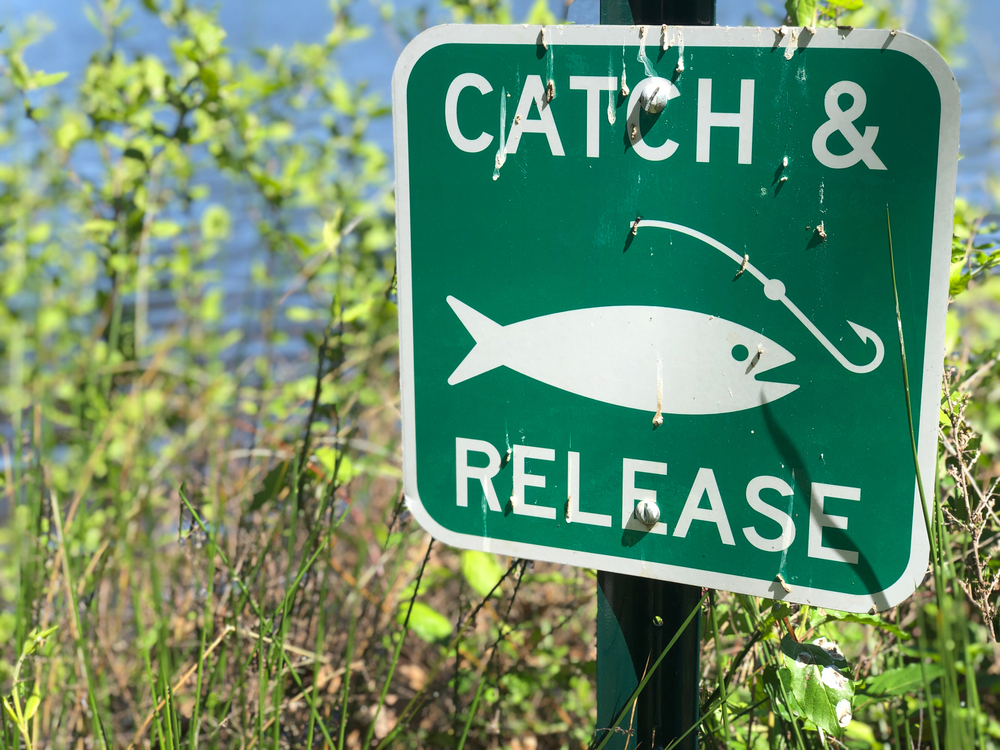 Catch and release sign
