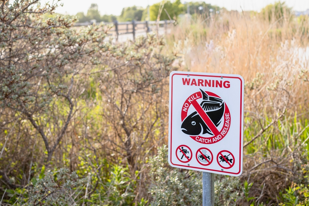 Fishing Rules and Regulations in Islamorada, FL