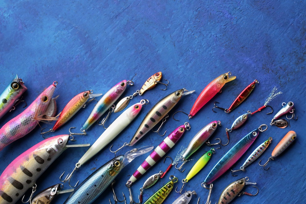 What Is the Best Bait