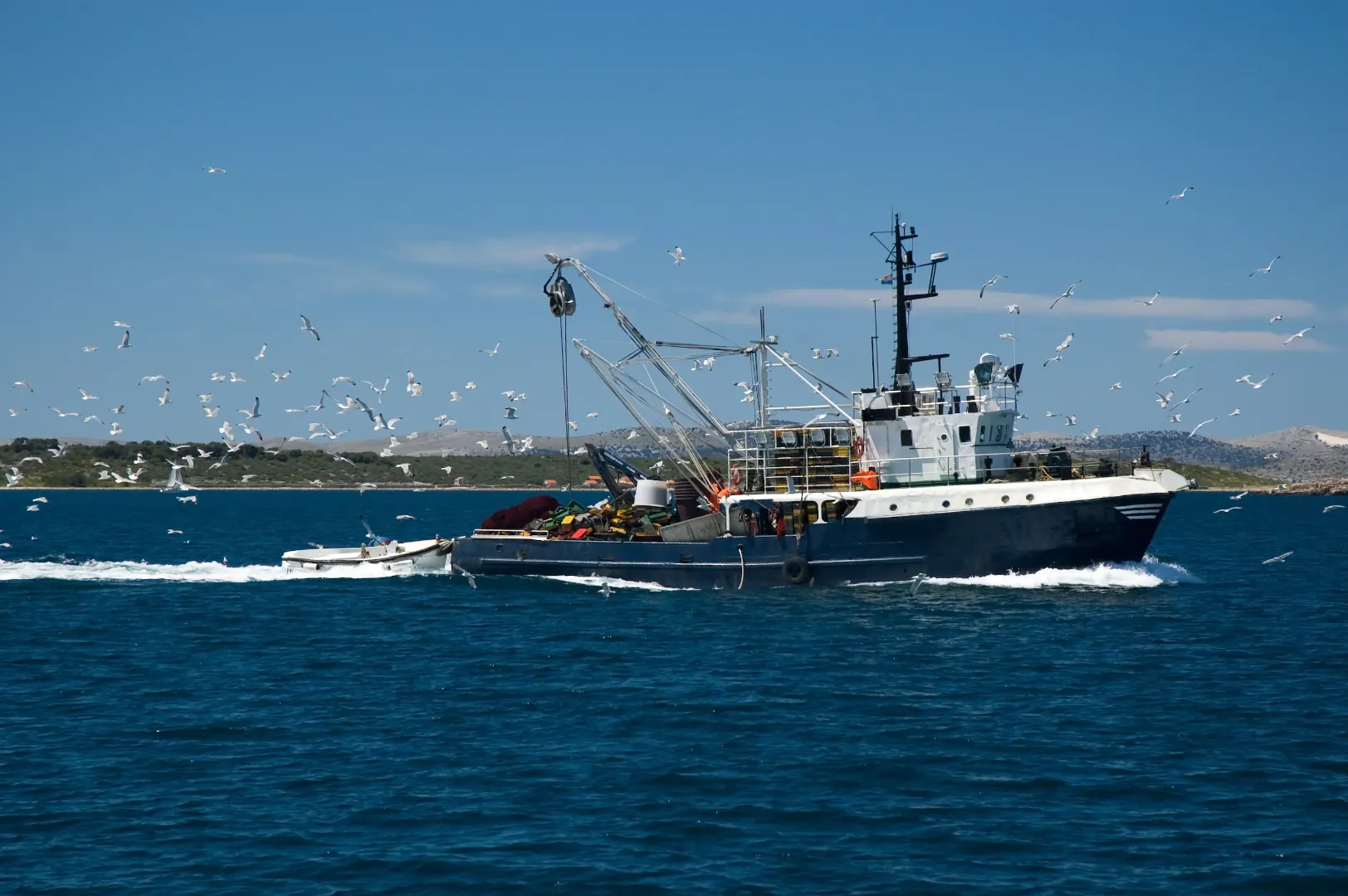 What Is Commercial Fishing